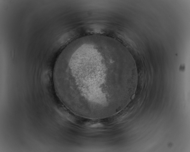 X0000102520747200808081427