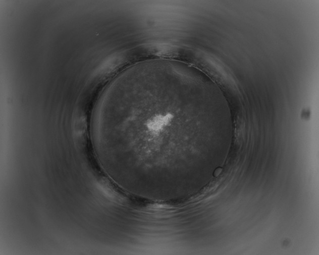 X0000102520748200808081427