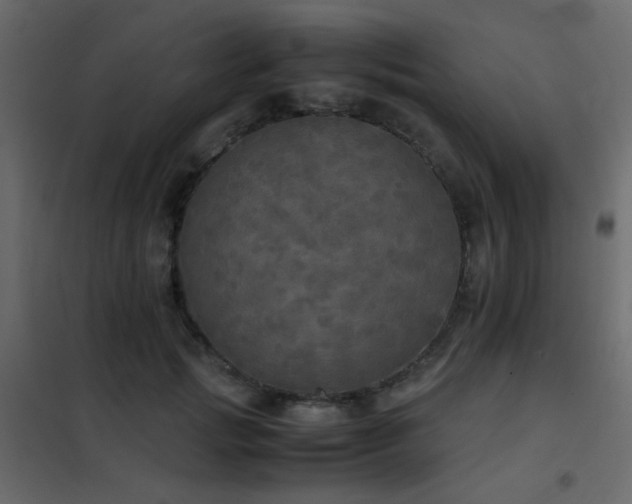 X0000102520749200808081427