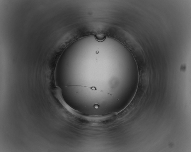 X0000102520750200808081427