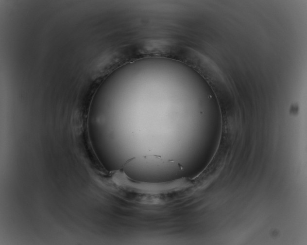 X0000102520751200808081427