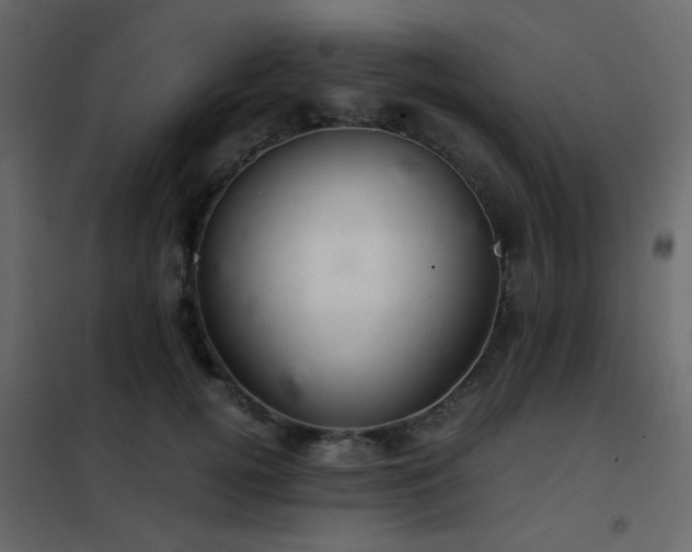 X0000102520752200808081427