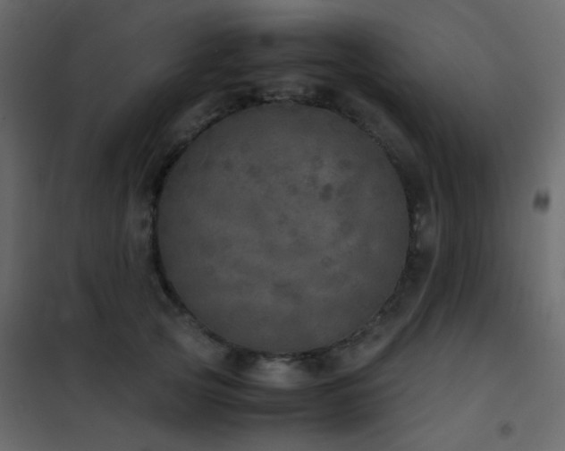 X0000102520753200808081427