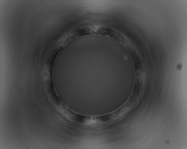 X0000102520754200808081427