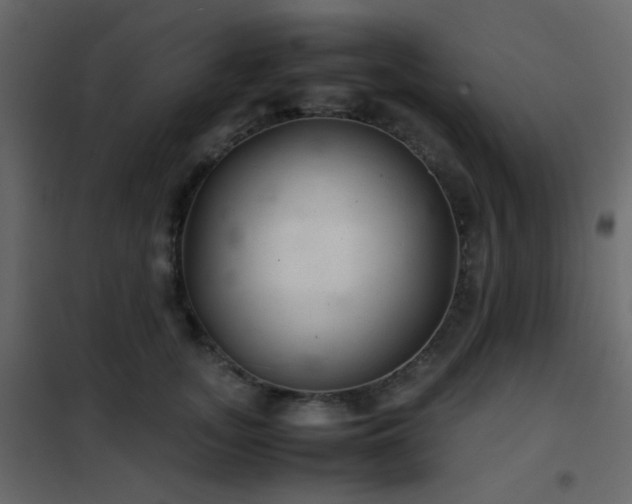 X0000102520755200808081427