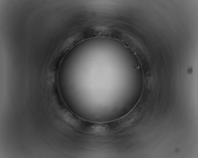 X0000102520756200808081427