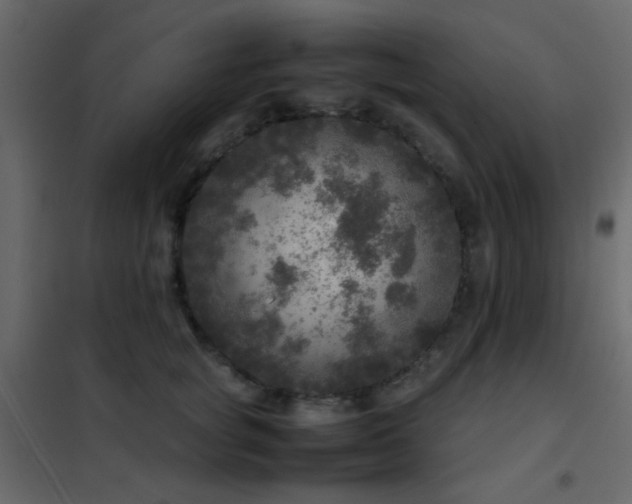 X0000102520757200808081427