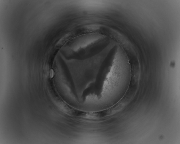 X0000102520758200808081427