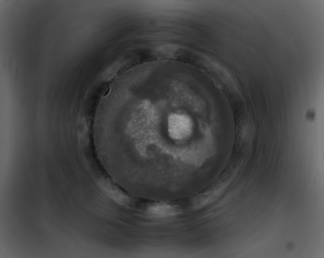 X0000102520759200808081427