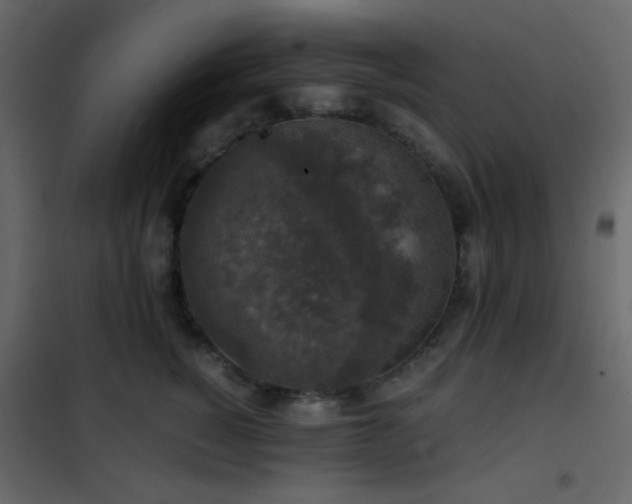 X0000102520760200808081427