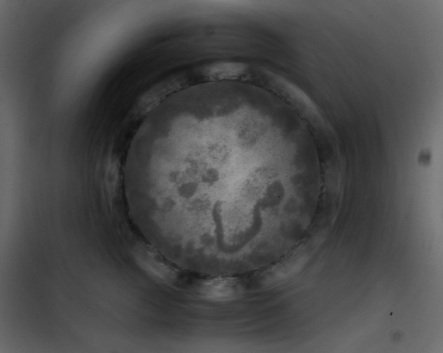 X0000102520761200808081427