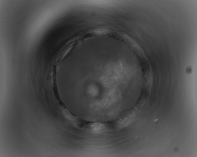 X0000102520762200808081427