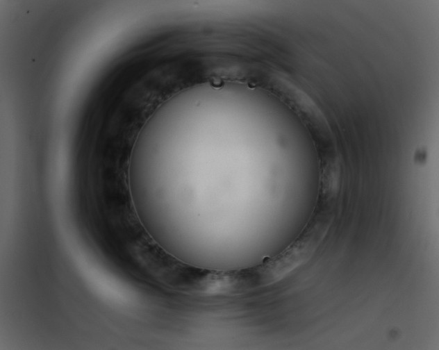 X0000102520764200808081427