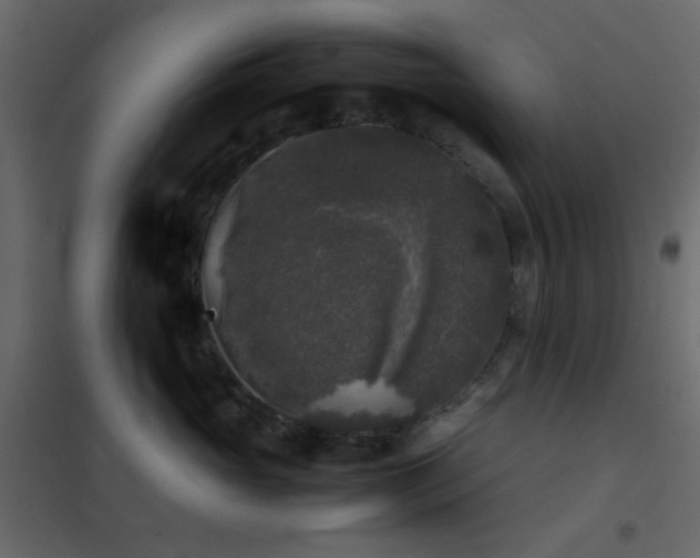 X0000102520765200808081427