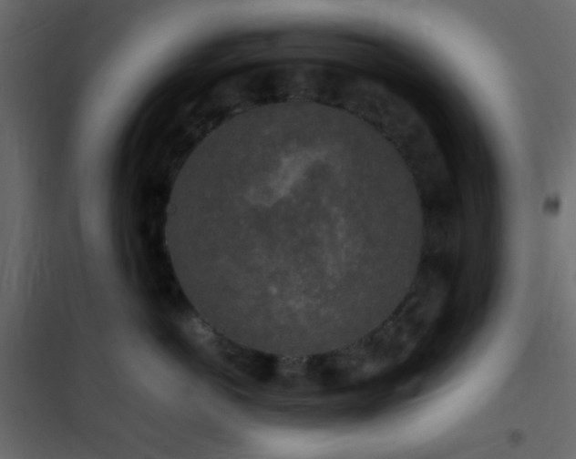 X0000102520766200808081427