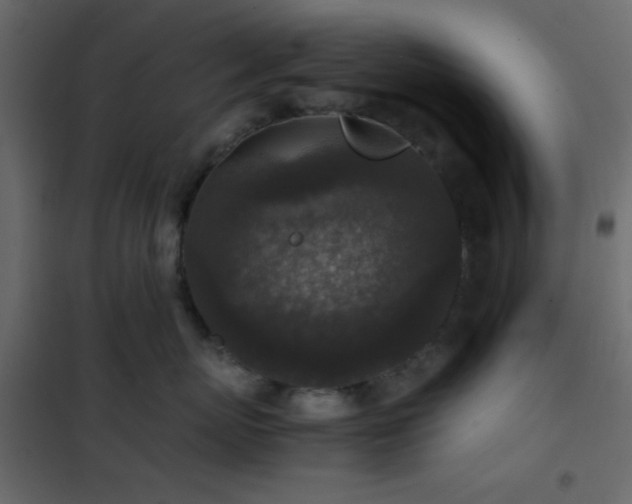 X0000102520767200808081427