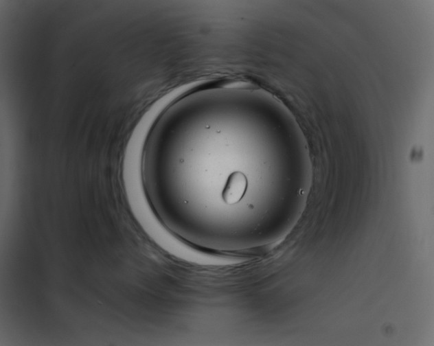 X0000102520768200808081427