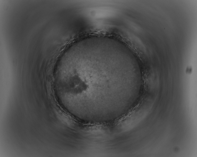 X0000102520769200808081427