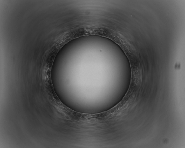 X0000102520770200808081427