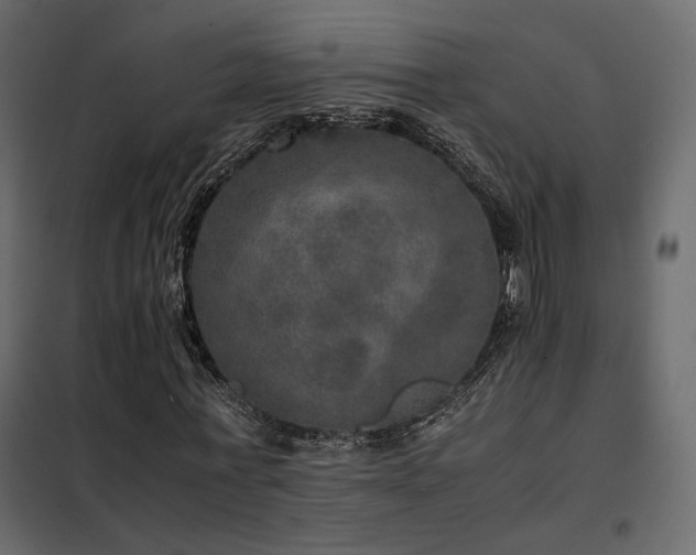 X0000102520771200808081427