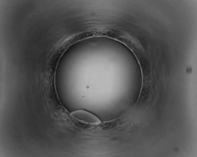 X0000102520773200808081427