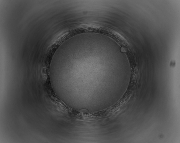 X0000102520774200808081427