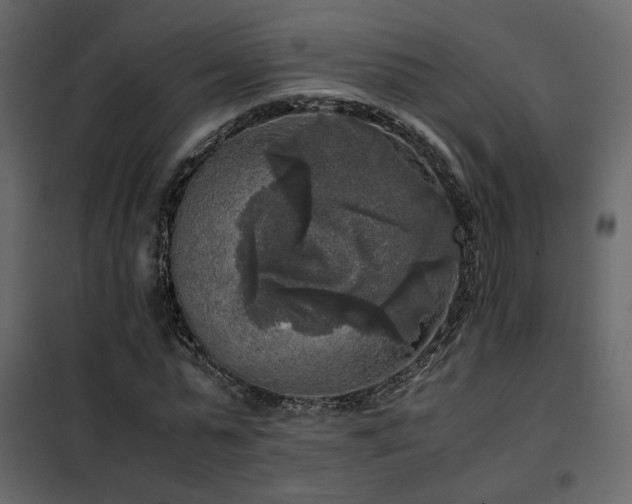 X0000102520775200808081427