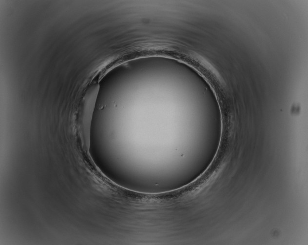 X0000102520777200808081427