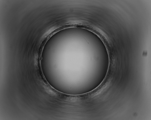 X0000102520778200808081426