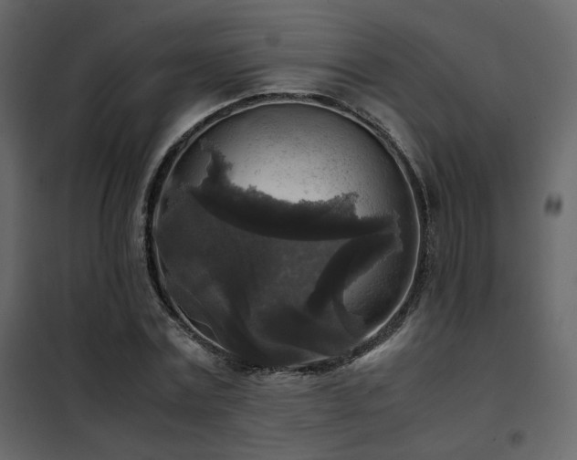 X0000102520779200808081426