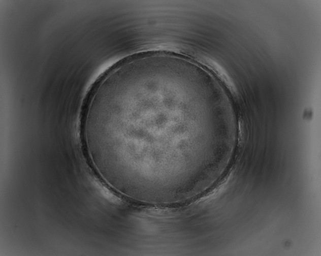 X0000102520780200808081426