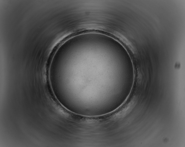 X0000102520782200808081426