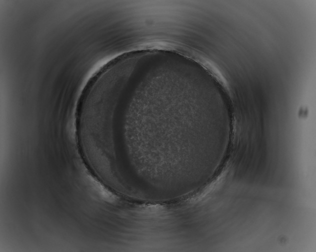 X0000102520784200808081426