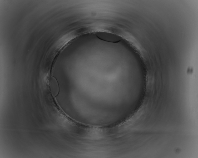 X0000102520785200808081426