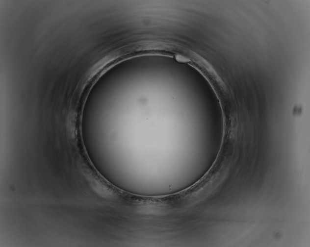 X0000102520786200808081426