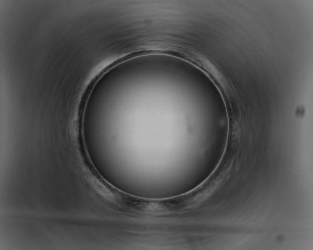 X0000102520787200808081426