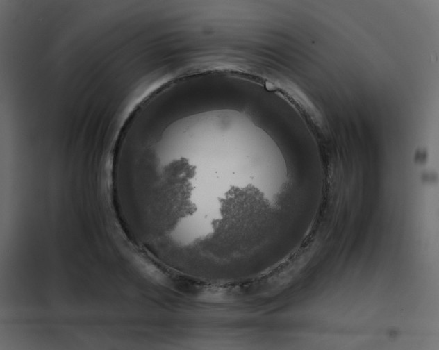 X0000102520790200808081426