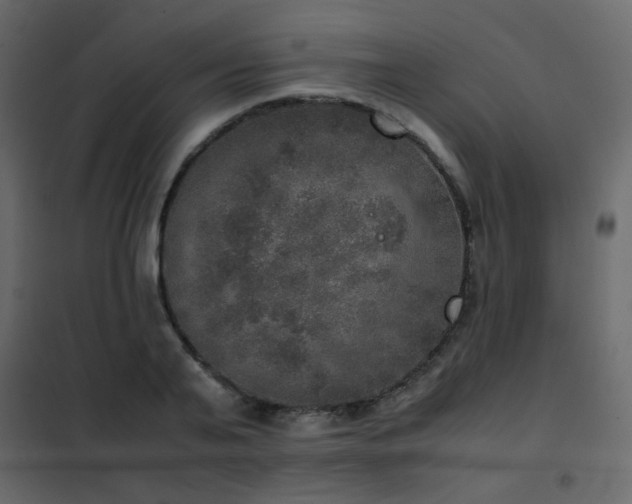 X0000102520791200808081426