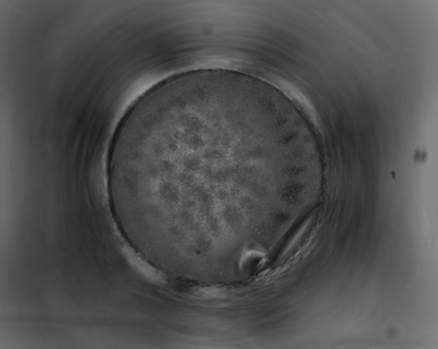 X0000102520792200808081426