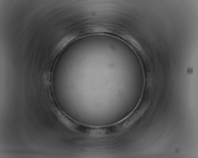 X0000102520793200808081426