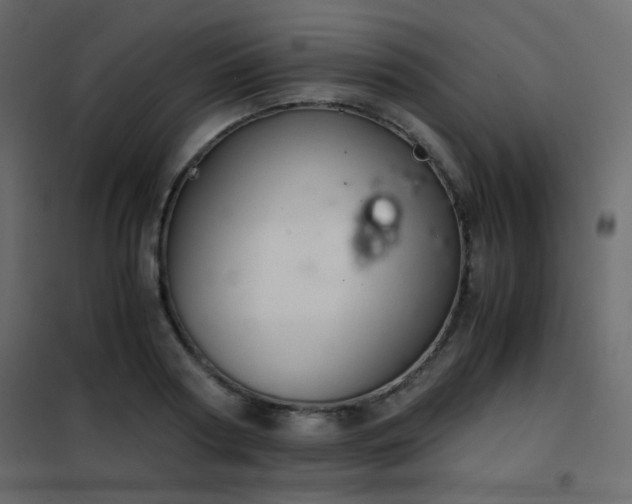 X0000102520794200808081426