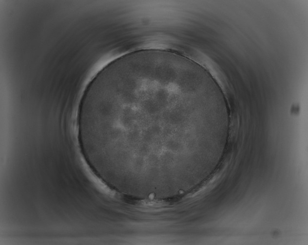 X0000102520795200808081426