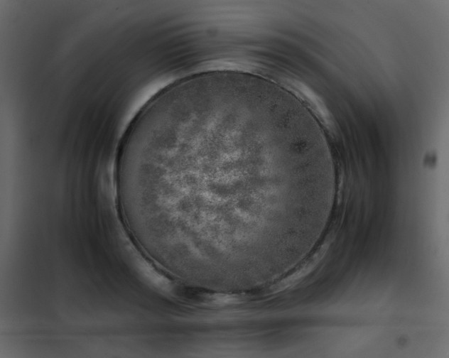 X0000102520796200808081426