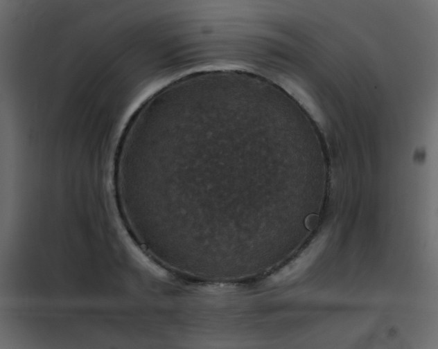 X0000102520797200808081426