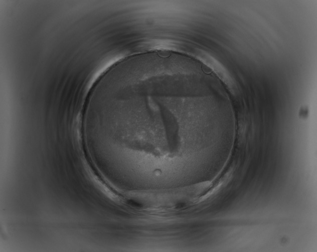 X0000102520798200808081426