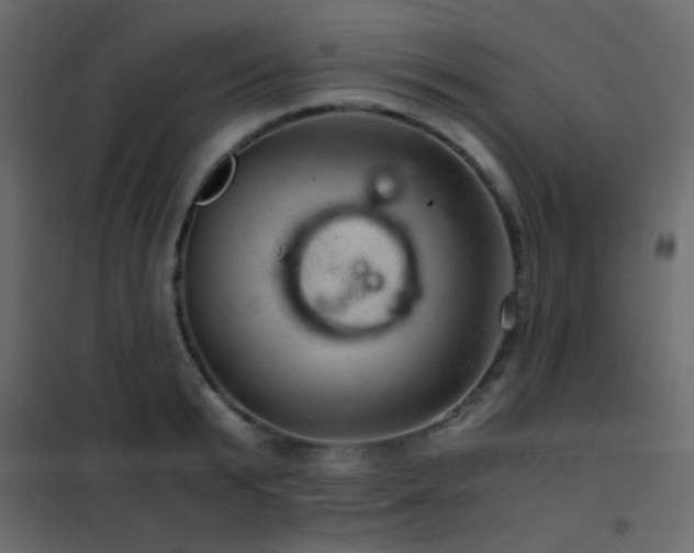 X0000102520799200808081426