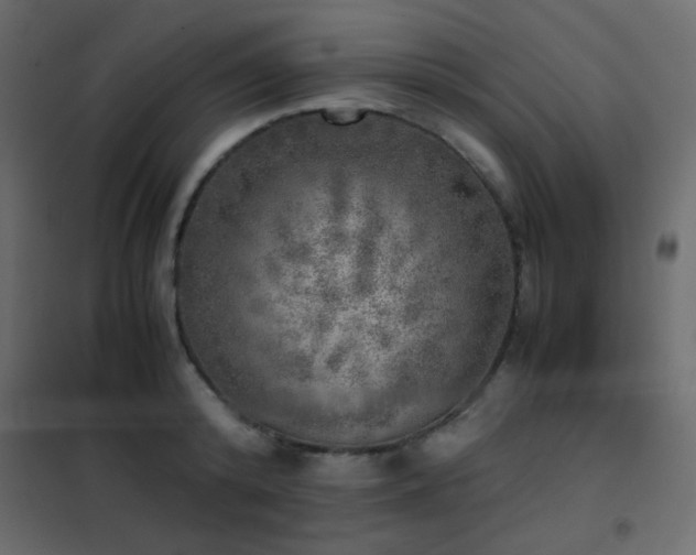 X0000102520800200808081426