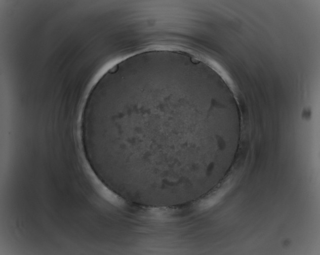 X0000102520803200808081426