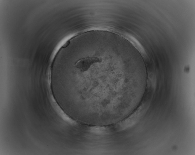 X0000102520804200808081426