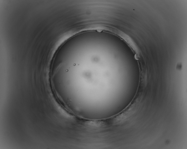 X0000102520805200808081426